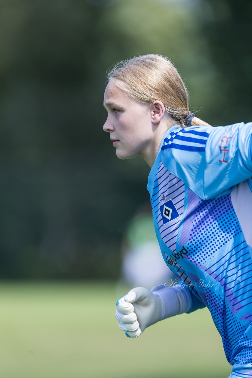 Bild 303 - wBJ Hamburger SV - VfL Wolfsburg : Ergebnis: 5:1